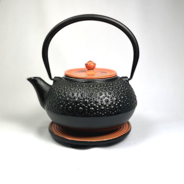Seito 1.0l Cast Iron Teapot